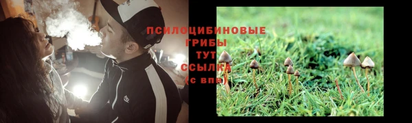 круглые Алексин