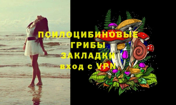 твердый Алзамай